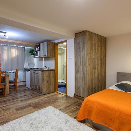 Vila Aleksandra Zlatibor Kültér fotó